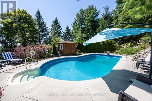 94 Morton Line, Cavan Monaghan, ON - Outdoor With In Ground Pool With Backyard