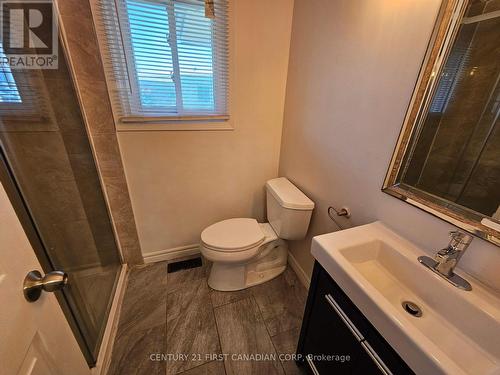 781 Homeview Road, London, ON - Indoor Photo Showing Bathroom