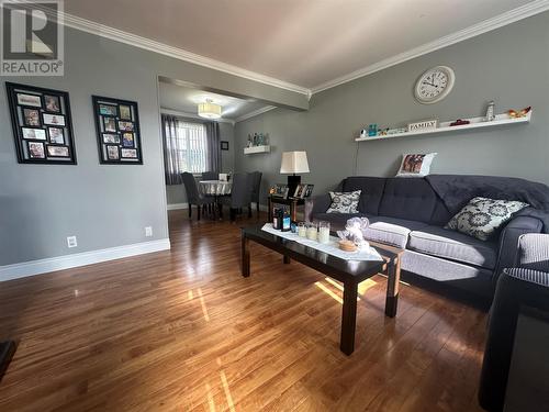 8 Harris Drive, Marystown, NL - Indoor Photo Showing Living Room