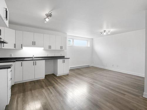 Cuisine - 378 Rue Des Hauts-Bois, Gatineau (Masson-Angers), QC - Indoor Photo Showing Kitchen With Double Sink