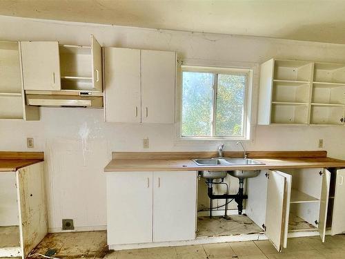 19 Shady Lane, Wabigoon, ON - Indoor Photo Showing Kitchen With Double Sink