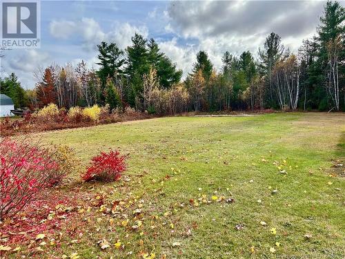 259 Saint Charles Sud, Saint-Charles, NB - Outdoor