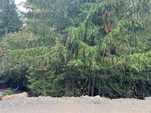 Lot 389 Anglemont Way, Anglemont, BC - Outdoor With View