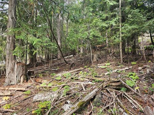 Lot 389 Anglemont Way, Anglemont, BC - Outdoor