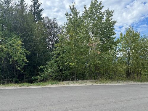 Lot 389 Anglemont Way, Anglemont, BC - Outdoor With View