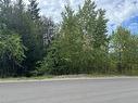 Lot 389 Anglemont Way, Anglemont, BC  - Outdoor With View 