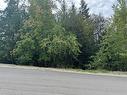 Lot 389 Anglemont Way, Anglemont, BC  - Outdoor With View 