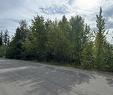 Lot 389 Anglemont Way, Anglemont, BC  - Outdoor With View 