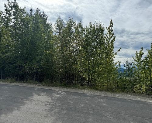 Lot 389 Anglemont Way, Anglemont, BC - Outdoor With View