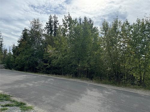 Lot 389 Anglemont Way, Anglemont, BC - Outdoor With View