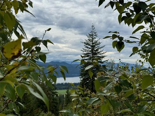 Lot 389 Anglemont Way, Anglemont, BC - Outdoor With View