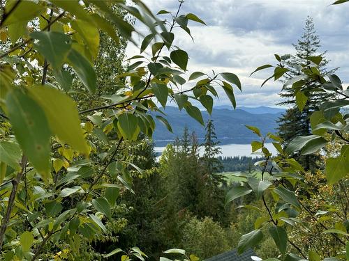 Lot 389 Anglemont Way, Anglemont, BC - Outdoor With View