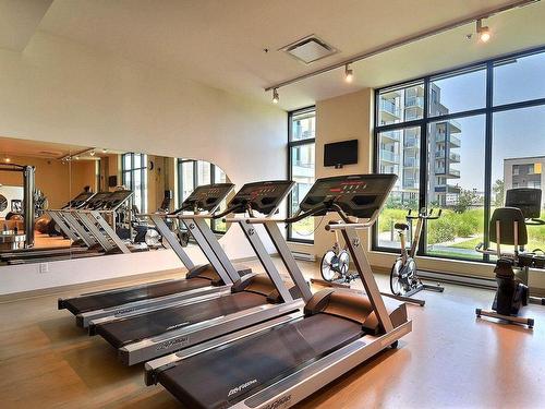 Exercise room - 508-111 Ch. De La Pointe-Nord, Montréal (Verdun/Île-Des-Soeurs), QC - Indoor Photo Showing Gym Room