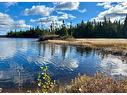 102 Burnt Berry Pond, Springdale, NL 