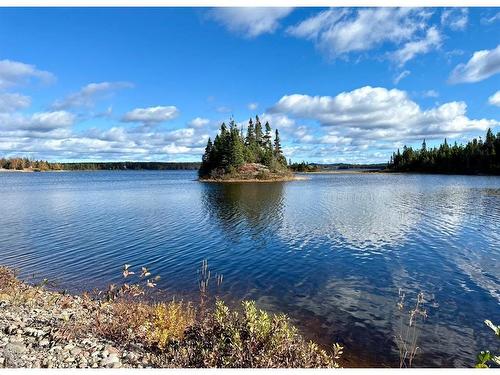 102 Burnt Berry Pond, Springdale, NL 