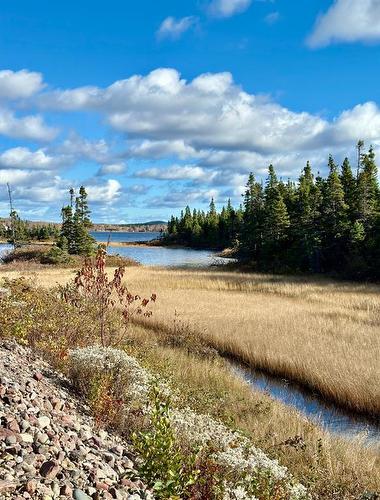 102 Burnt Berry Pond, Springdale, NL 