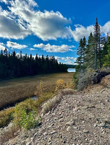 102 Burnt Berry Pond, Springdale, NL 