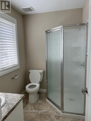 116 Laguna Village Crescent, Hamilton, ON - Indoor Photo Showing Bathroom