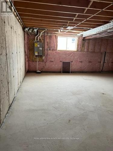 116 Laguna Village Crescent, Hamilton, ON - Indoor Photo Showing Basement