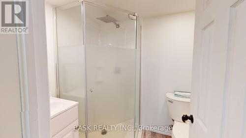 Bsmt - 42 Shanley Street, Kitchener, ON - Indoor Photo Showing Bathroom