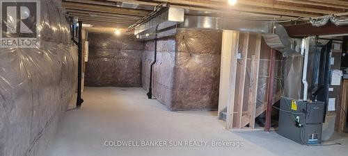 1 Mears Road, Brant, ON - Indoor Photo Showing Basement