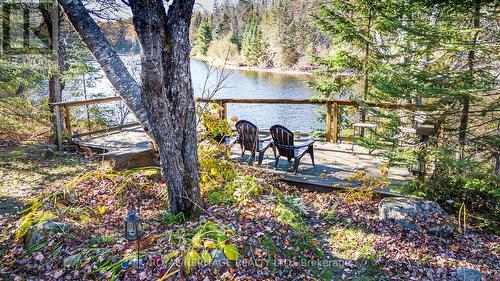 449 Balsam Chutes Road, Huntsville, ON - Outdoor With Body Of Water