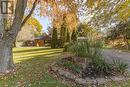 Beautiful treed half acre lot - 456 Jarvis Street, London, ON  - Outdoor 