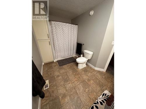 5133 Nicholson Road, Chetwynd, BC - Indoor Photo Showing Bathroom