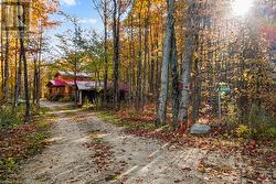 The log home in the woods! - 