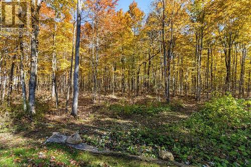 Walking/ATV trails through the woods - 414499 Baseline Road, West Grey, ON - Outdoor