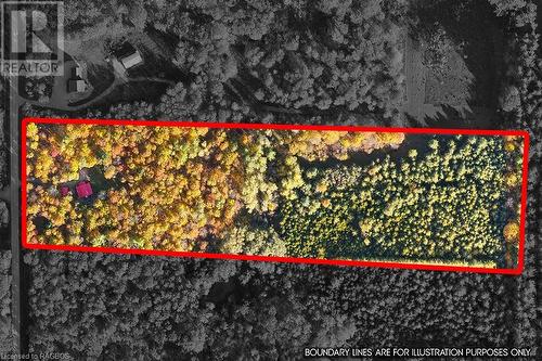 Aerial view of 10.46 acre lot - 414499 Baseline Road, West Grey, ON - Outdoor