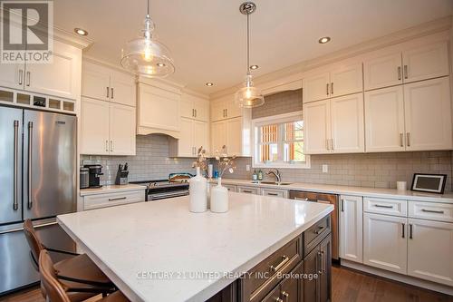 90 Homewood Avenue, Trent Hills (Hastings), ON - Indoor Photo Showing Kitchen With Upgraded Kitchen