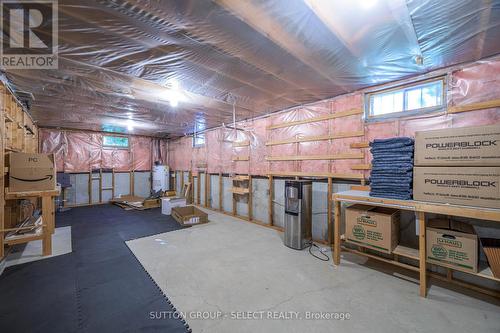 38 Ullswater Crescent, London, ON - Indoor Photo Showing Basement