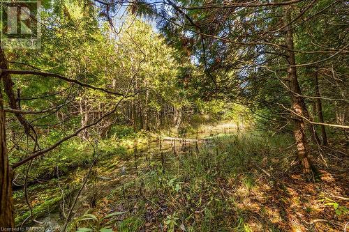 403560 Grey Road 4, West Grey, ON - Outdoor