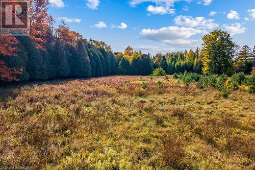 403560 Grey Road 4, West Grey, ON - Outdoor With View