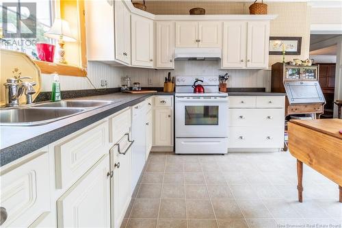 121 Prince Albert Street, Woodstock, NB - Indoor Photo Showing Kitchen With Double Sink