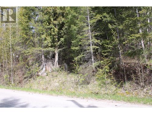 Lot 2 Vickers Trail, Anglemont, BC 