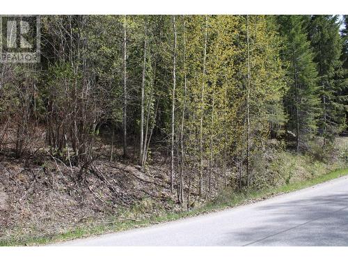 Lot 2 Vickers Trail, Anglemont, BC 