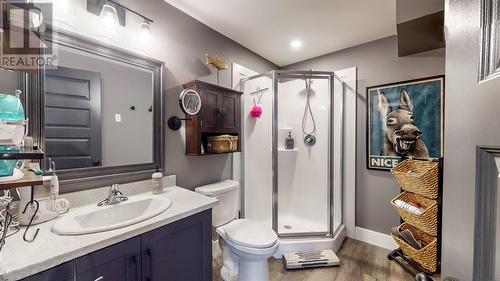 13 Meagher Place, Conception Bay South, NL - Indoor Photo Showing Bathroom