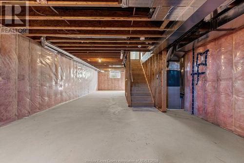 55 Callams Bay Crescent, Amherstburg, ON - Indoor Photo Showing Basement