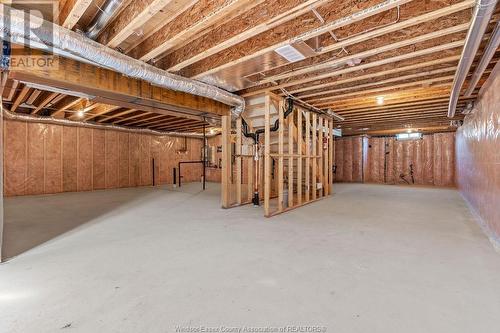 55 Callams Bay Crescent, Amherstburg, ON - Indoor Photo Showing Basement