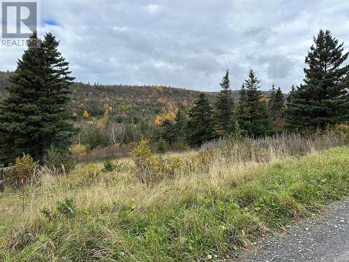 Lots 0-3 Neddies Harbour Road, Norris Point, NL 