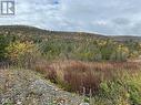 Lots 0-3 Neddies Harbour Road, Norris Point, NL 