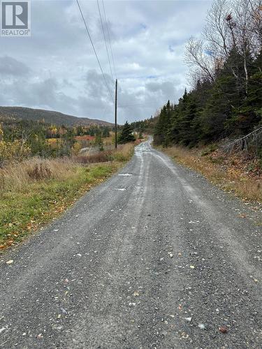 Lots 0-3 Neddies Harbour Road, Norris Point, NL 