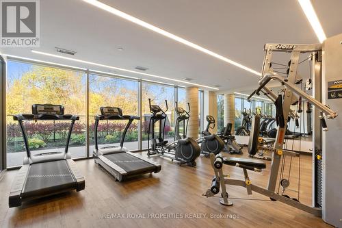 B201 - 5240 Dundas Street W, Burlington, ON - Indoor Photo Showing Gym Room