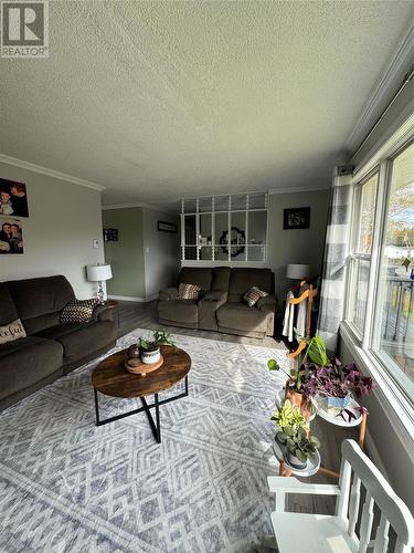 84 Main Street, Browns Arm, NL - Indoor Photo Showing Living Room