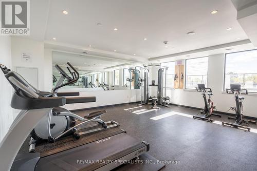 209 - 7 Erie Avenue, Brantford, ON - Indoor Photo Showing Gym Room