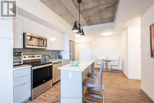 209 - 7 Erie Avenue, Brantford, ON - Indoor Photo Showing Kitchen With Upgraded Kitchen