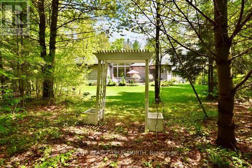 2 Sycamore Circle, Springwater, ON - Outdoor