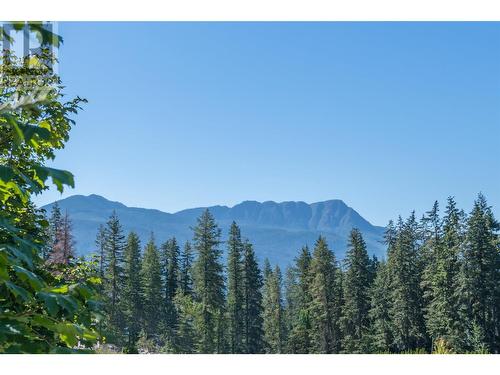 4230 20 Street Ne, Salmon Arm, BC - Outdoor With View